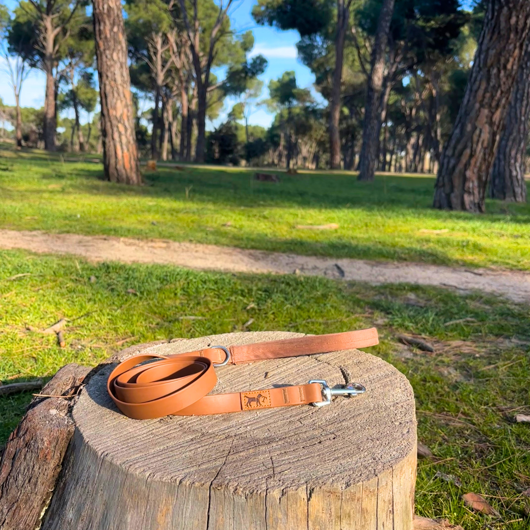 Desert Adventure Tour Kit