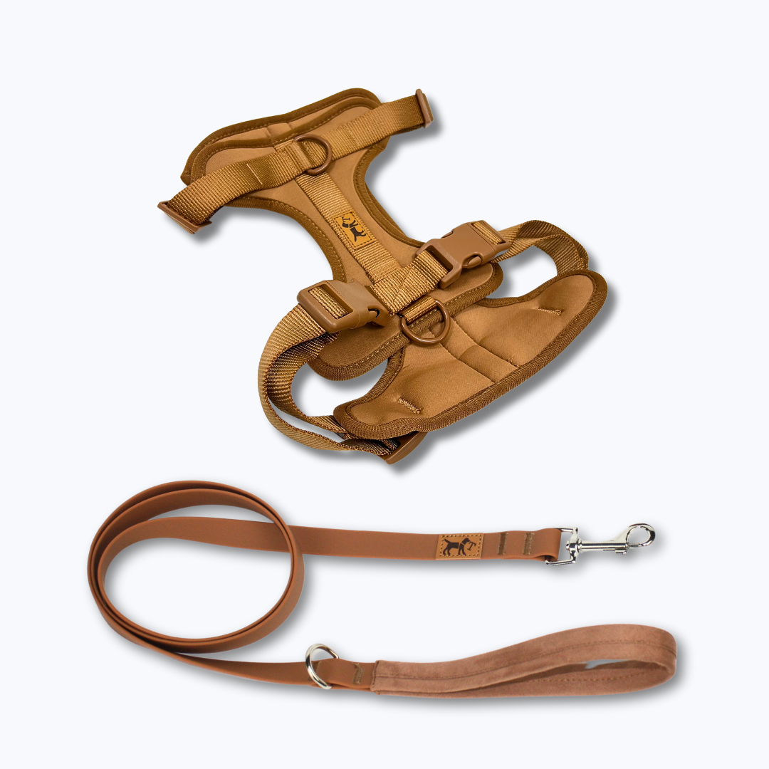 Desert Adventure Tour Kit