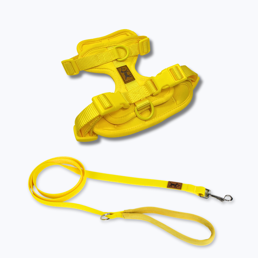 kit de paseo amarillo