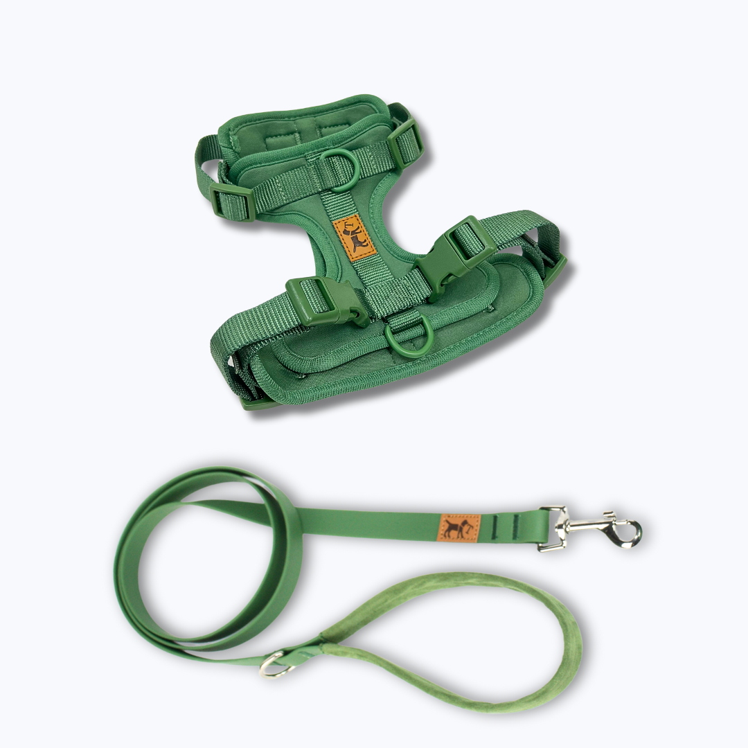 Adventure Jungle Walk Kit