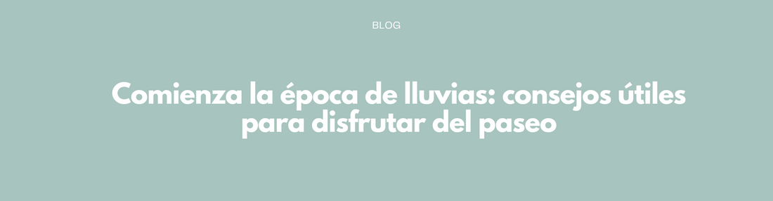 Comienza la época de lluvias: consejos útiles para disfrutar del paseo