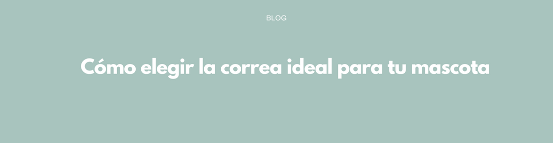 Cómo elegir la correa ideal para tu mascota