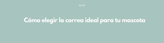 Cómo elegir la correa ideal para tu mascota