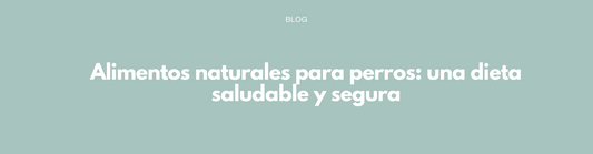 Alimentos naturales para perros: una dieta saludable y segura