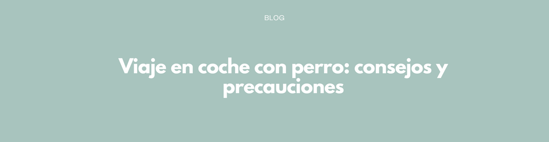 Viaje en coche con perro: consejos y precauciones