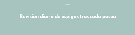 Revisión diaria de espigas tras cada paseo