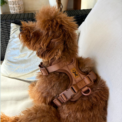 Arnés Adventure Desert