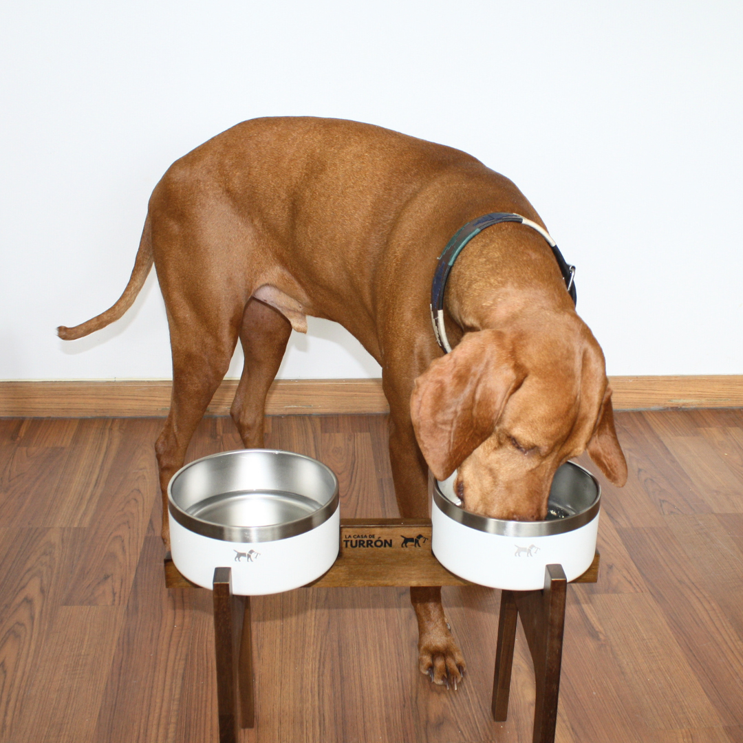 Comedero elevado doble Nordic