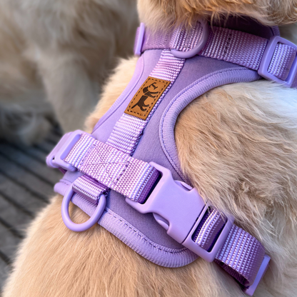 Arnés Adventure Lavender