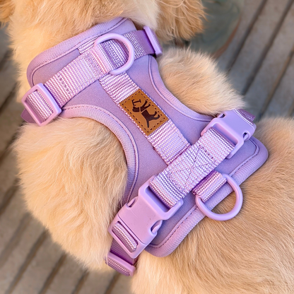 Arnés Adventure Lavender