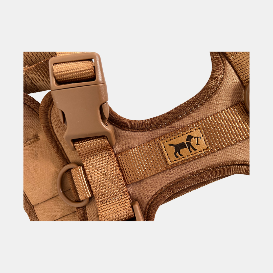 Arnés Adventure Desert