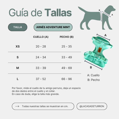 Arnés Adventure Mint