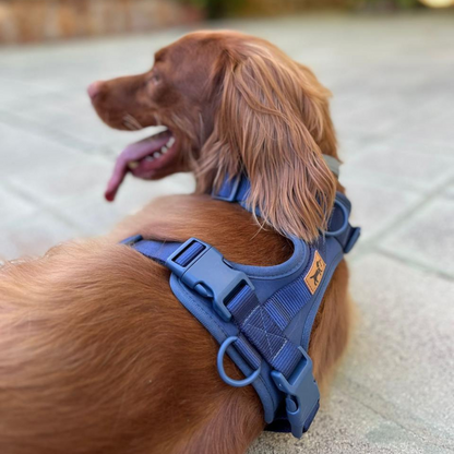 Arnés Adventure Ocean