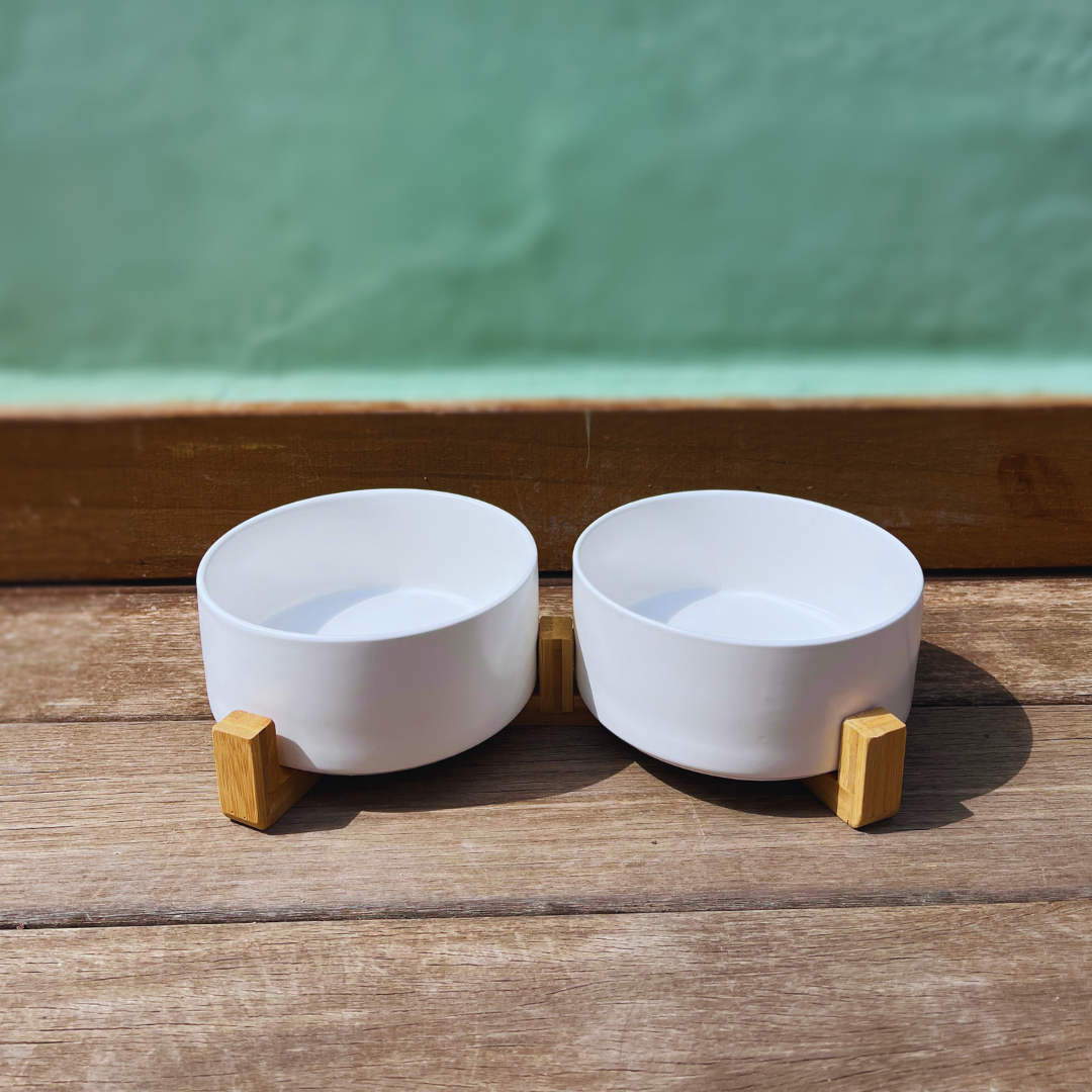 comedero ceramico blanco foto estudio