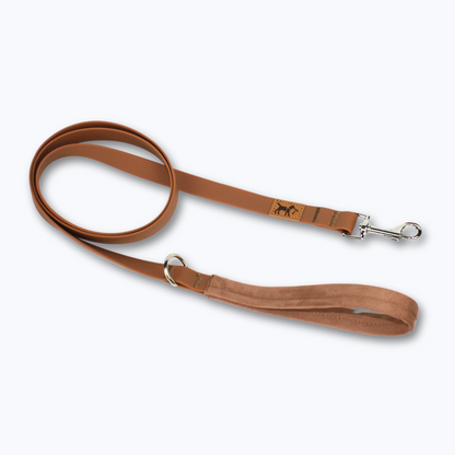 correa adventure marron