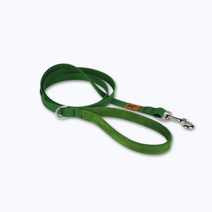 correa adventure verde