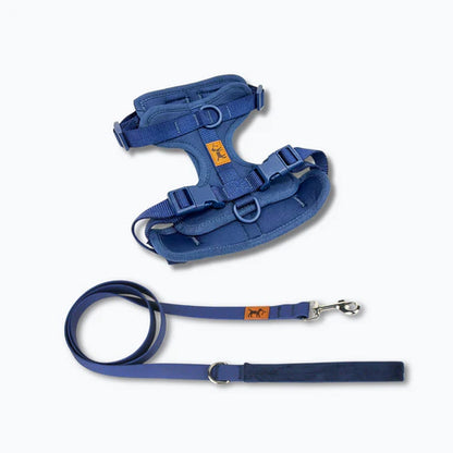kit_de_paseo_azul.webp