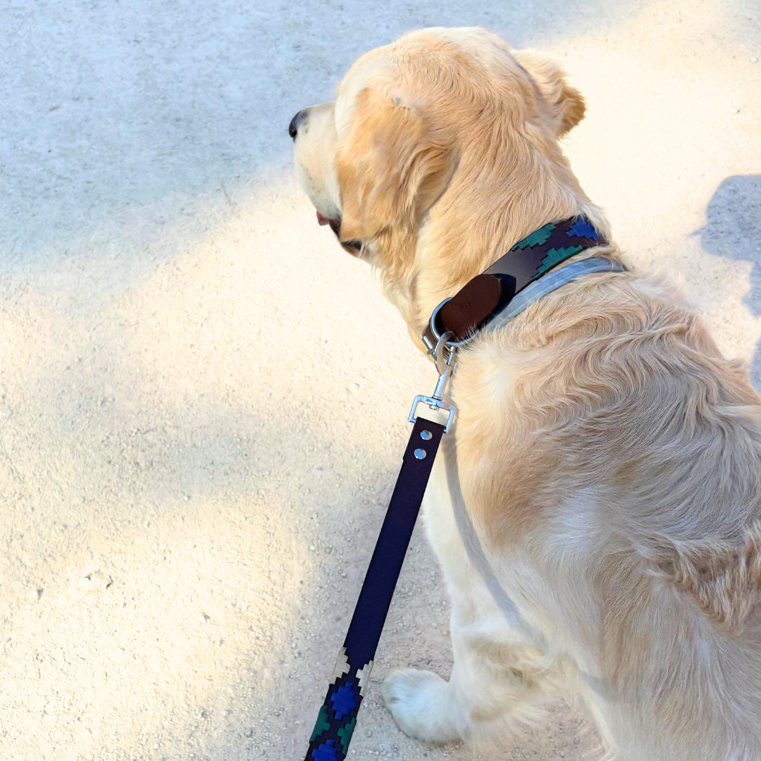 Kit de Paseo Iguazú