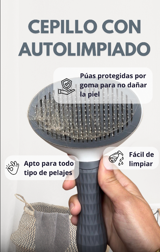 Video Cepillo autolimpiado La Casa de Turron